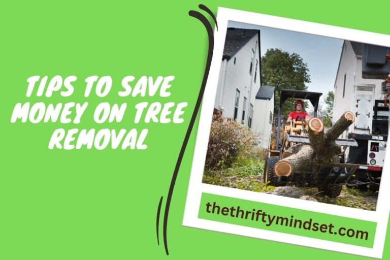 Tips To Save Money on Tree Removal